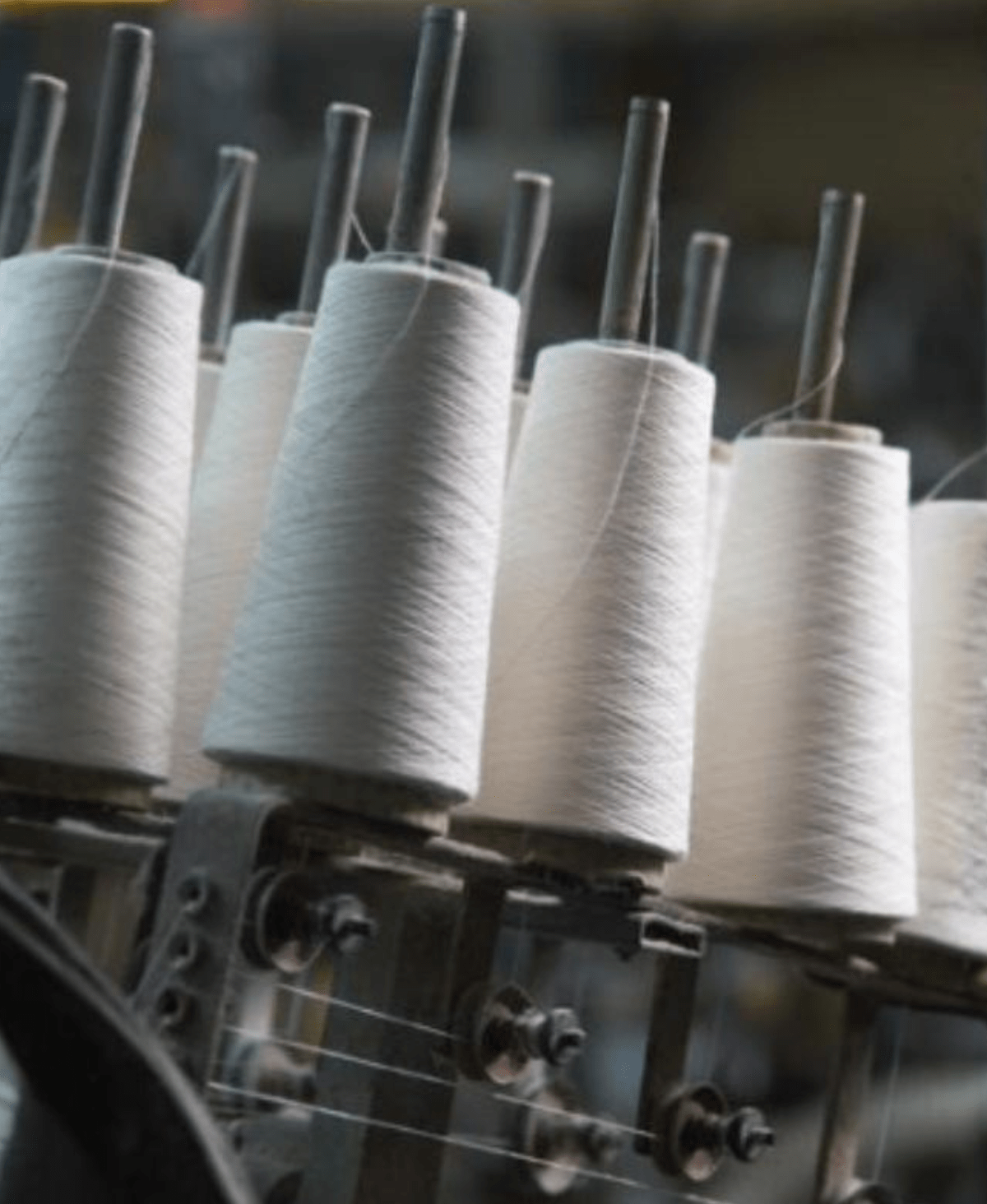 Mega Menu Image1008512